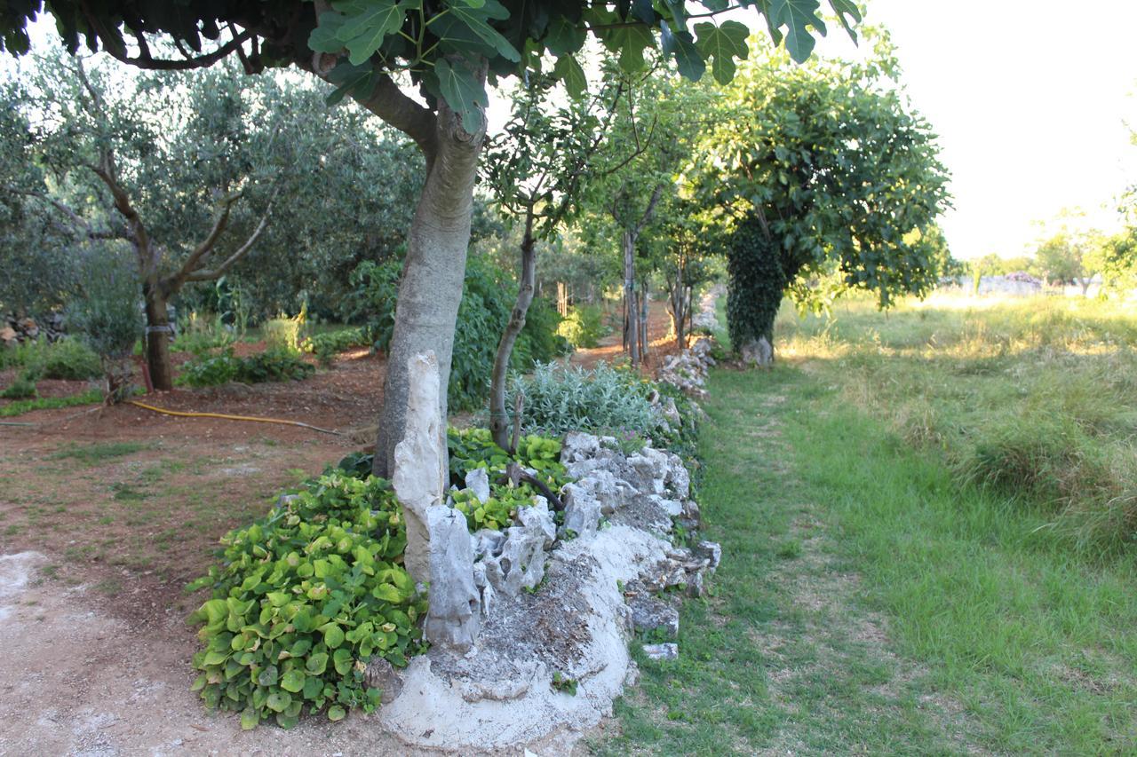 Haus Glavani Barban Esterno foto