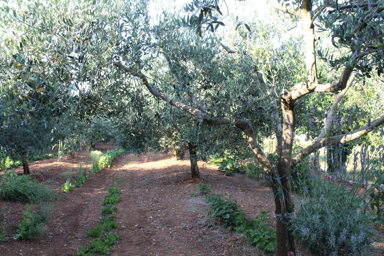 Haus Glavani Barban Esterno foto